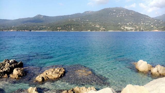 Magnifique Appartement Devant La Plage Propriano  Εξωτερικό φωτογραφία